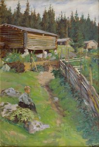 Young boy at the summer pasture