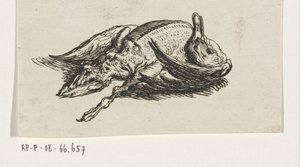 Dead Duck