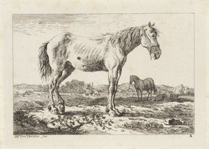 Standing Horse in a Landscape (Six Prints after Drawings by Various Masters)