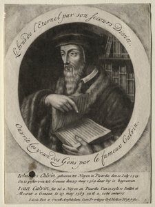John Calvin by Jacob Gole