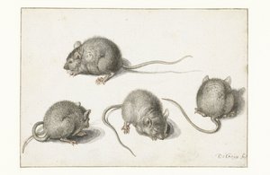 Four Studies of a Diseased Mouse