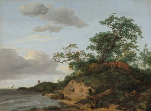 Dunes by the Sea by Jacob Isaaksz. or Isaacksz. van Ruisdael