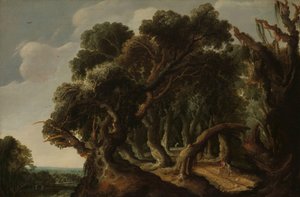 Wooded Landscape by Jacob Jacobsz van Geel (signed by artist)