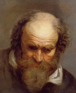 Head of an Old Man