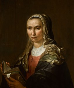 Portrait of a Woman with a Book