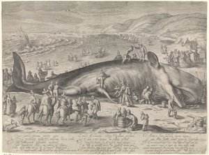 Whale Stranded at Berckhey, 1598 by Jacob Matham