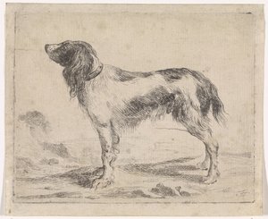 Standing Dog by Jacob Toorenvliet