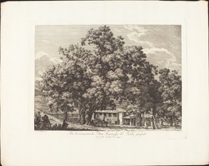 Recreation Site of Flemish Painters of the Past Century at Monte Testaccio