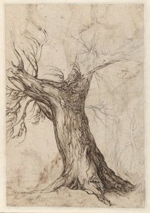 Chestnut Tree with Some Surrounding Trees