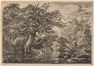 A Forest Marsh with Travelers on a Bank (The Travelers) by Jacob van Ruisdael