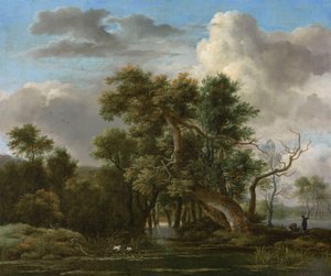 A Woodland Pool by Jacob van Ruisdael