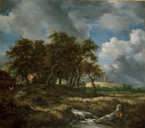 Landscape near Muiderberg by Jacob van Ruisdael