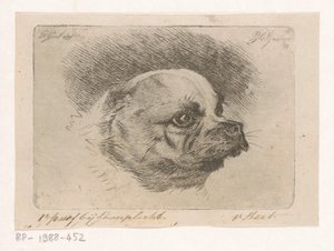Head of a Pug by Jacobus Cornelis Gaal