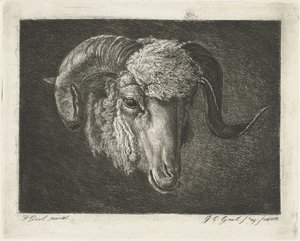 Head of a Ram with Curved Horns by Jacobus Cornelis Gaal