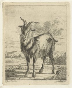 Standing Goat by Jacobus Cornelis Gaal