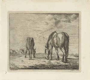 Two Grazing Horses by Jacobus Cornelis Gaal