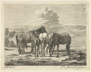 Four Horses and Two Foals