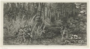 Forest Stream by Jacobus Ludovicus Cornet