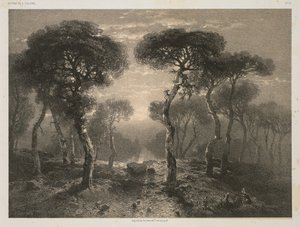 Works of A. Calame, No. 13: Forest of Sierre in Valais by Jacomme and Cie. R. de Lancry, 12, Paris