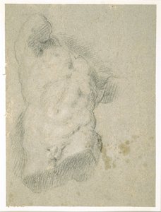 Drawing of a Male Torso by Jacopo Bassano