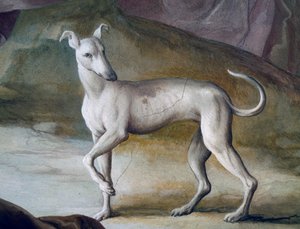 Dog (detail)