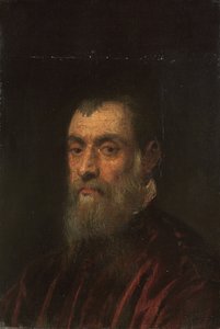 Portrait of a Bearded Man in a Red Gown by Jacopo Robusti Tintoretto
