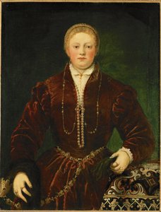 Portrait of a Young Lady
