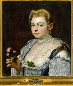 Portrait of an Unknown Lady