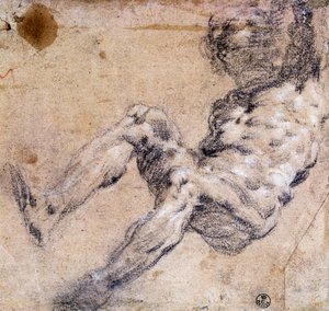 Study of male nude by Jacopo Robusti Tintoretto