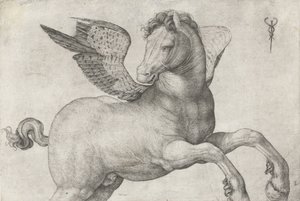 Pegasus, 1509-16 by Jacopo de Barbari
