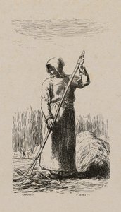 Woman Raking Hay