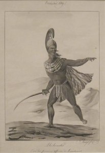 Aniheneho. One of the First Officers of Tahmahamah by Jacques Arago