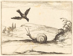 Crow and Snail by Jacques Callot