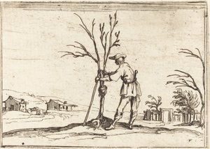Gardener Pruning a Tree by Jacques Callot