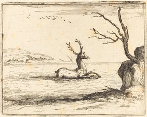 Stag in the Water by Jacques Callot
