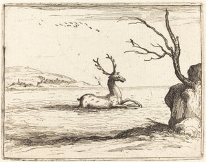Stag in the Water by Jacques Callot