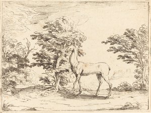 The Doe by Jacques Callot