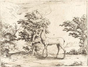 The Doe by Jacques Callot