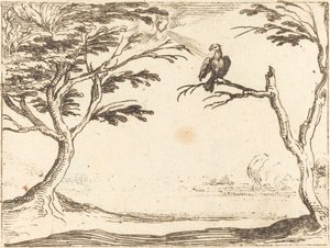 The Vulture by Jacques Callot