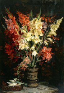 Gladioli