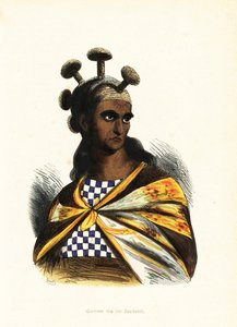 Warrior of the Hawaiian Islands