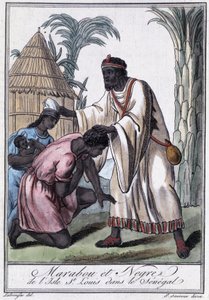 Marabou of Saint Louis Island, Senegal - in Encyclopedia of Voyages by Grasset Saint Sauveur, ed. Paris 1796 by Jacques Grasset de Saint Sauveur