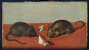 Mice, c.1600