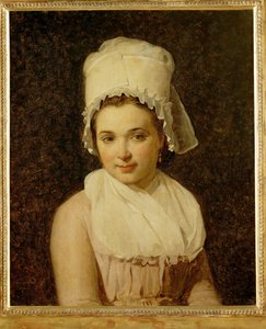 Catherine-Marie-Jeanne Tallard, Wife of Francois Lamy, Mayor of Sougere/Yonne by Jacques Louis David