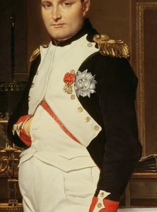 The Emperor Napoleon in His Study at the Tuileries (detail) by Jacques Louis David