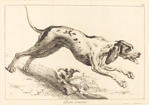 Running Hound by Jacques Philippe Le Bas and Jean Eric Rehn after Jean Baptiste Oudry