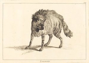 Hyena by Jacques Philippe Le Bas and Jean Eric Rehn after Jean Baptiste Oudry