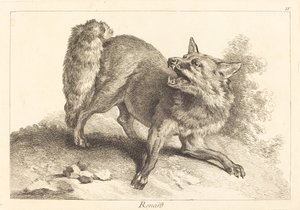 Fox