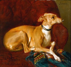 A Greyhound Resting on a Chair by Jacques Raymond Brascassat