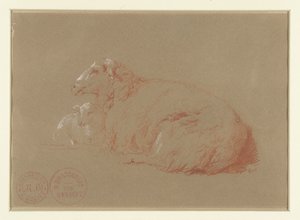 Lying Sheep with Lamb